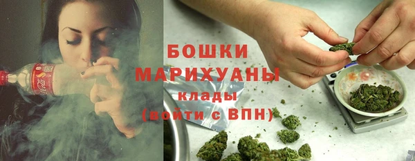 гидра Дмитров