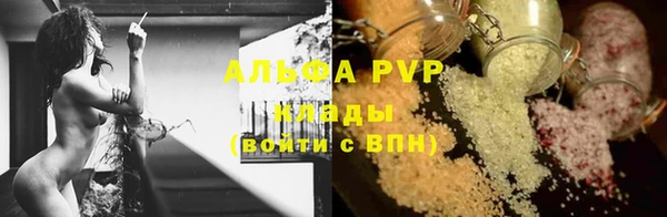 стафф Дмитриев