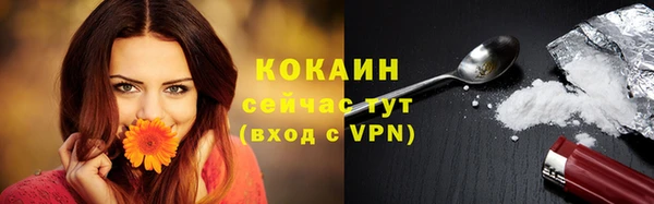 стафф Дмитриев
