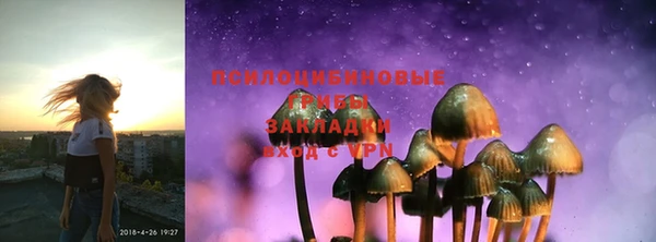 ПСИЛОЦИБИНОВЫЕ ГРИБЫ Горняк