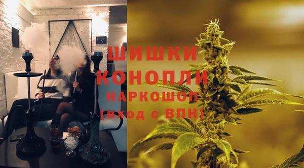 ПСИЛОЦИБИНОВЫЕ ГРИБЫ Горно-Алтайск