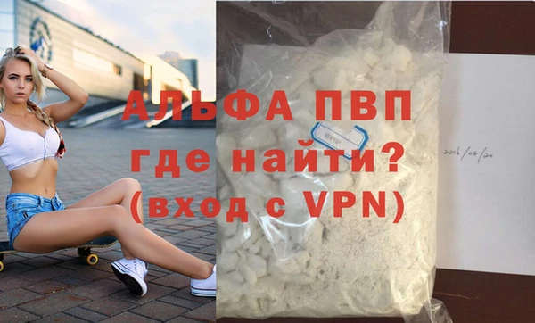 гидра Дмитров