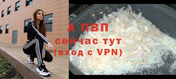Альфа ПВП Гусев